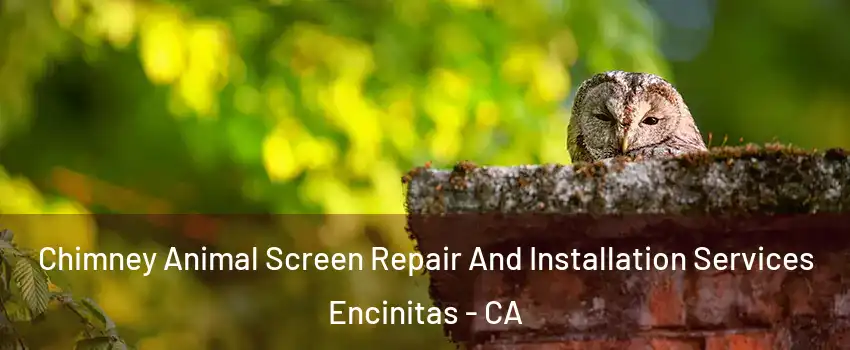  Chimney Animal Screen Repair And Installation Services Encinitas - CA