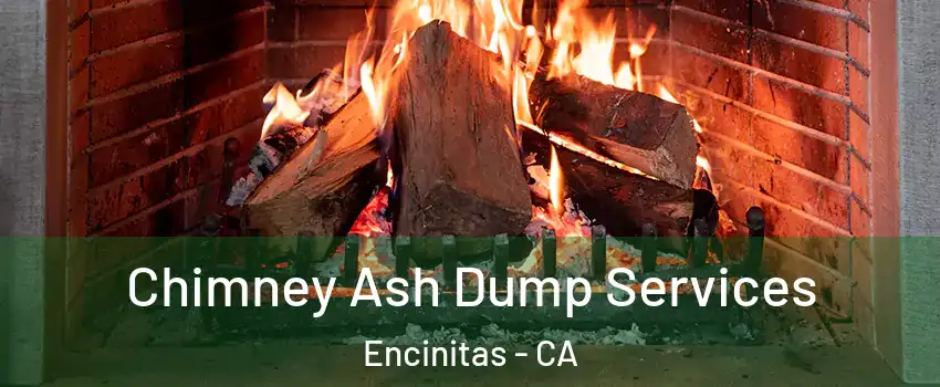  Chimney Ash Dump Services Encinitas - CA
