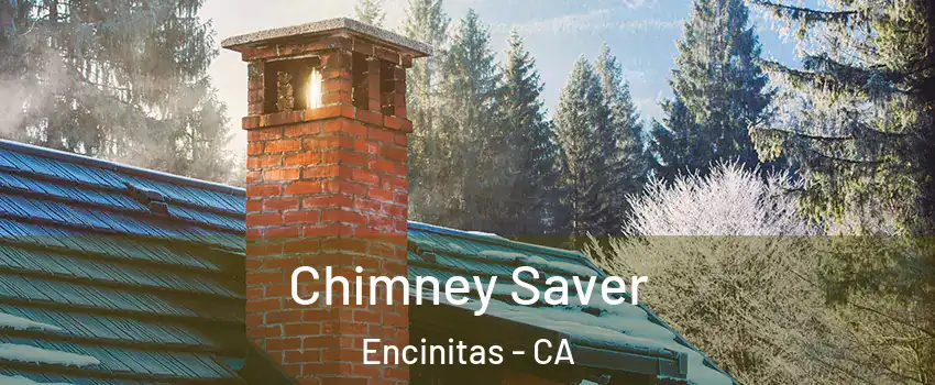  Chimney Saver Encinitas - CA