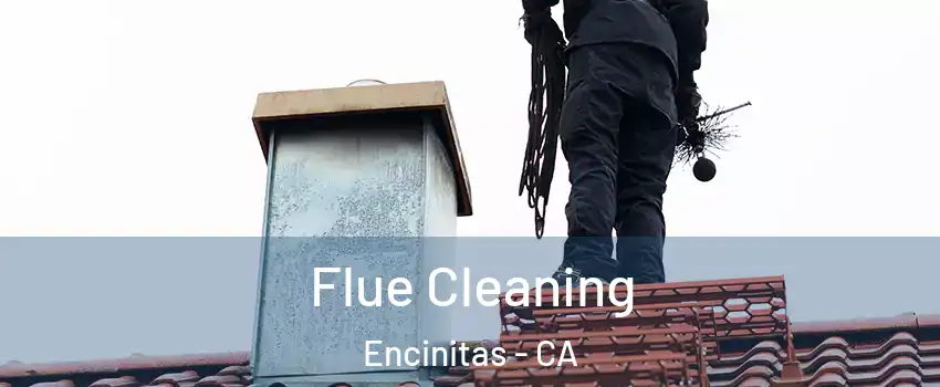  Flue Cleaning Encinitas - CA