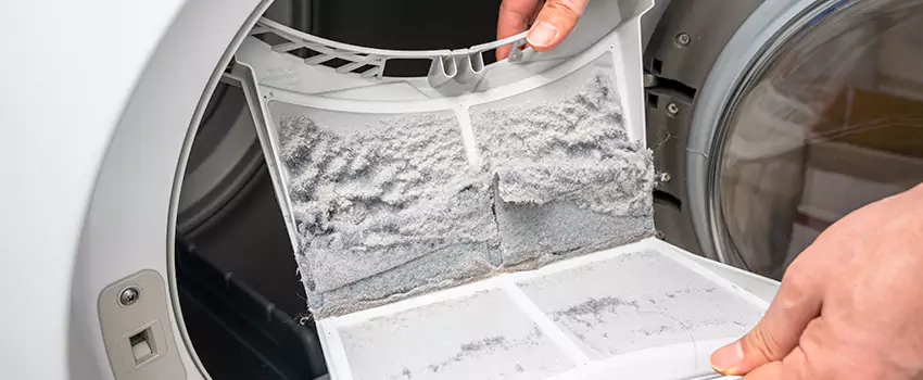 Best Dryer Lint Removal Company in Encinitas, California
