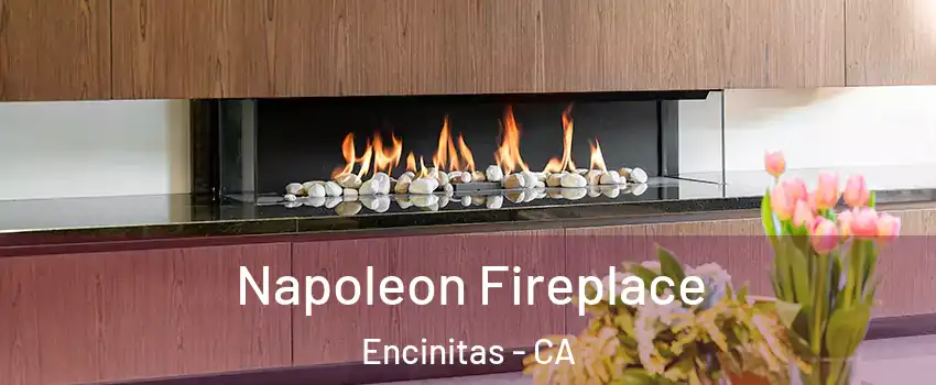  Napoleon Fireplace Encinitas - CA