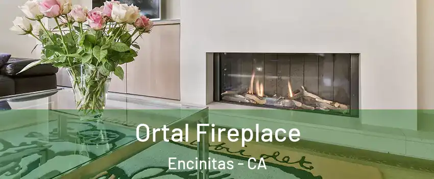 Ortal Fireplace Encinitas - CA